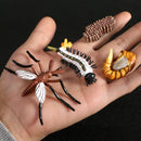 Simulation Animals Growth Cycle Butterfly,Ladybug,Chicken Life Cycle Figurine Plastic Models Action Figures Educational Kids Toy