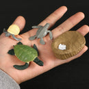 Simulation Animals Growth Cycle Butterfly,Ladybug,Chicken Life Cycle Figurine Plastic Models Action Figures Educational Kids Toy