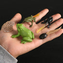 Simulation Animals Growth Cycle Butterfly,Ladybug,Chicken Life Cycle Figurine Plastic Models Action Figures Educational Kids Toy
