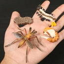 Simulation Animals Growth Cycle Butterfly,Ladybug,Chicken Life Cycle Figurine Plastic Models Action Figures Educational Kids Toy