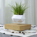 Magnetic suspension flower pot