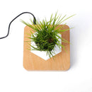 Magnetic suspension flower pot