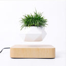 Magnetic suspension flower pot