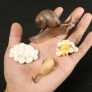 Simulation Animals Growth Cycle Butterfly,Ladybug,Chicken Life Cycle Figurine Plastic Models Action Figures Educational Kids Toy