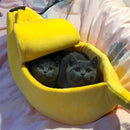Kitty Peel - Pet Banana Hideaway-Quality Delux