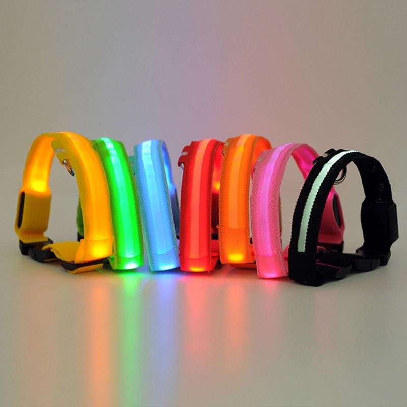 Luminous Pet Collar-Quality Delux