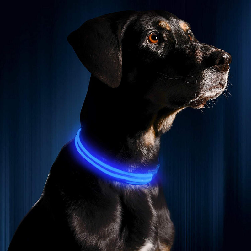 Luminous Pet Collar-Quality Delux