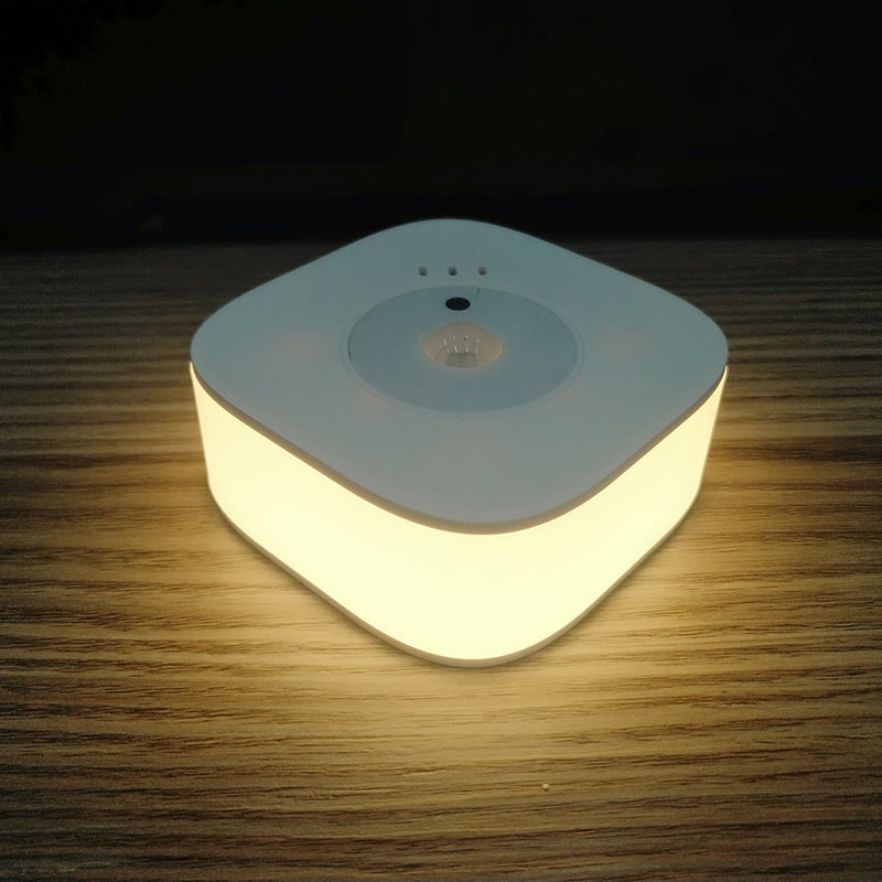 Smart Sensor Night Light Surveillance Camera HD