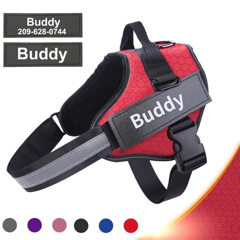 Personalized No Pull Dog Harness