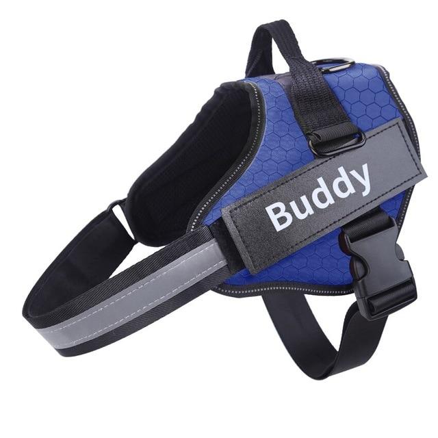 Personalized No Pull Dog Harness