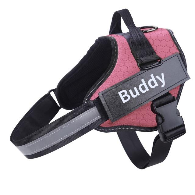 Personalized No Pull Dog Harness