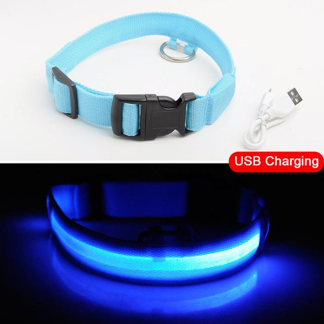 Luminous Pet Collar-Quality Delux