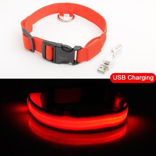 Luminous Pet Collar-Quality Delux