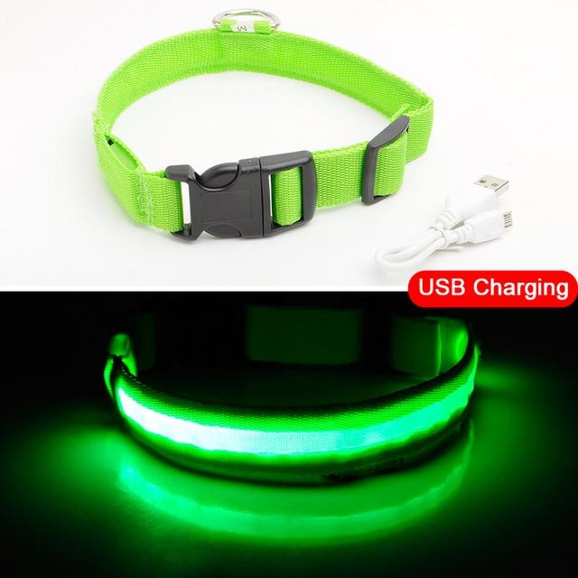 Luminous Pet Collar-Quality Delux