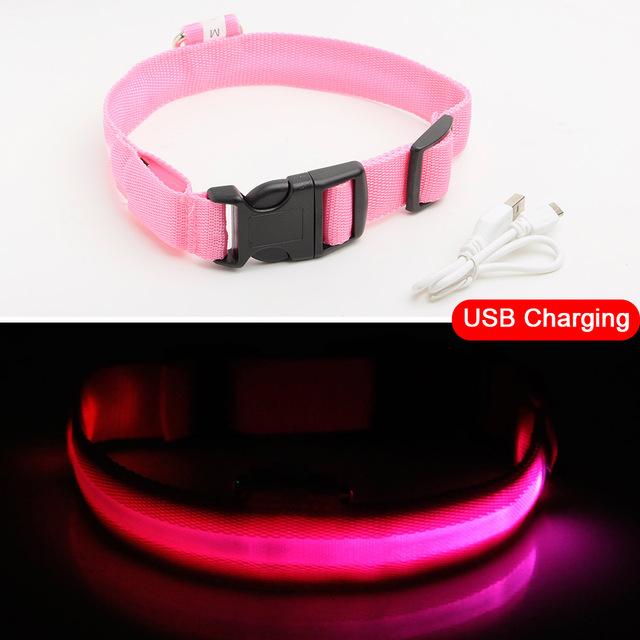 Luminous Pet Collar-Quality Delux