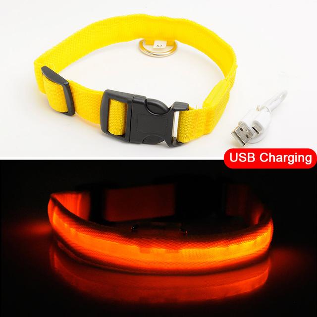 Luminous Pet Collar-Quality Delux